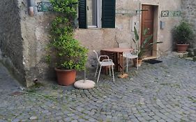 Living Into History